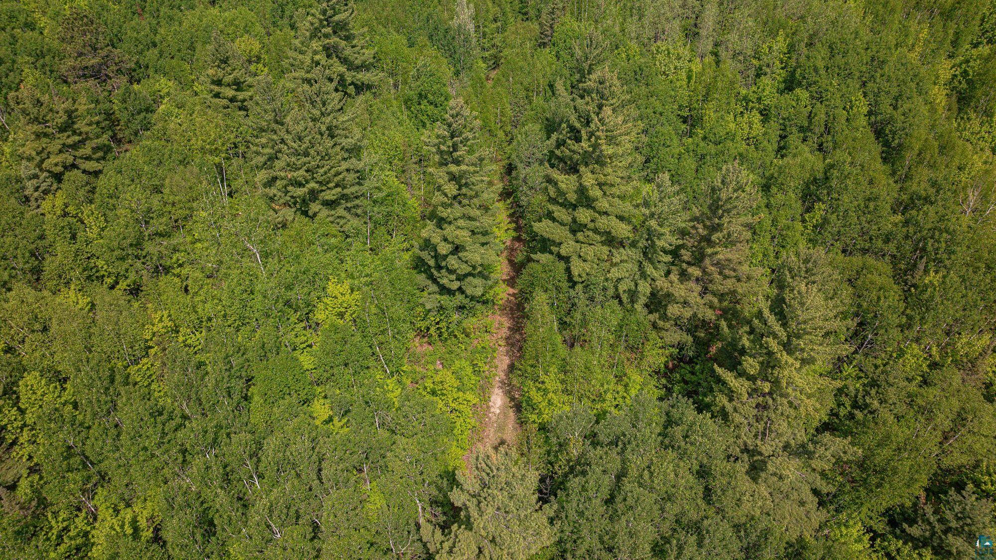 Tbd Tbd Muckwa Lake Road Babbitt, MN 55706 - Photo 48 of 54