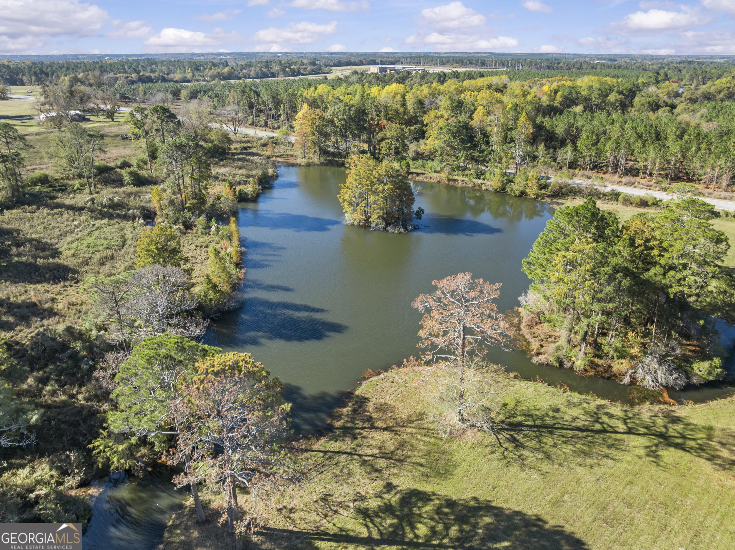 440 Ocilla Highway Fitzgerald, GA 31750 - Photo 88 of 96 a view of a lake with a mountain in the background