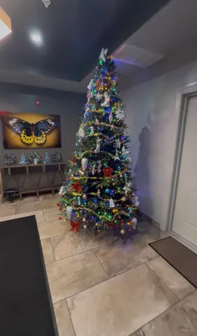 a room with flowers and toys