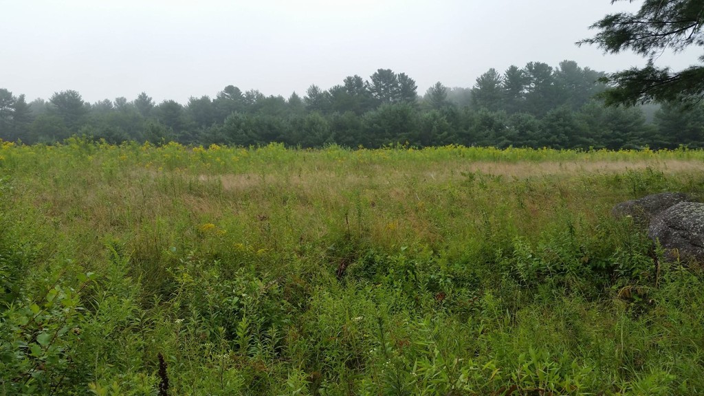 3 Brooks Road Winchendon, MA 01475 - Photo 1 of 2