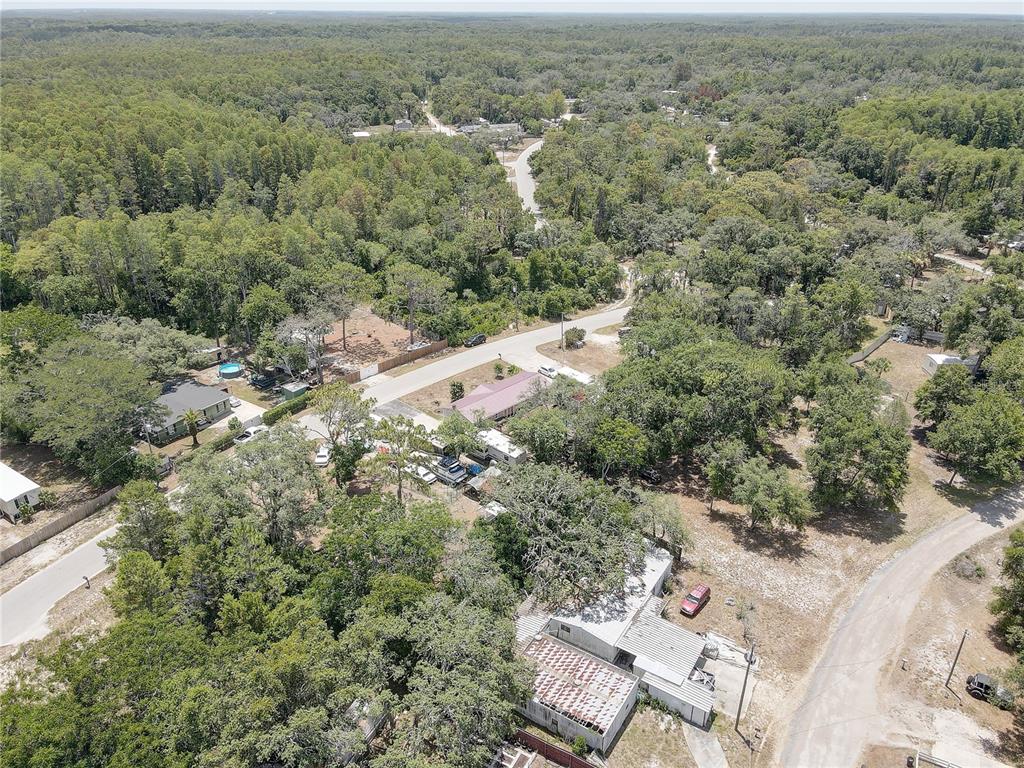 9501 Estelle Street New Port Richey, FL 34654 - Photo 59 of 59