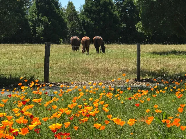 $5,999,998 | 1748 Laguna Road, Santa Rosa, CA 95401