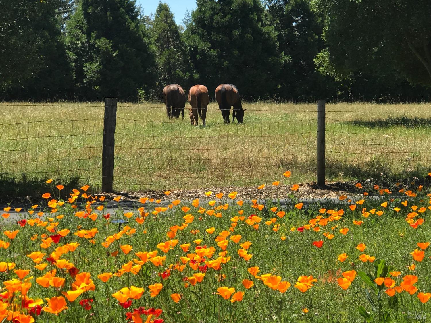 1748 Laguna Road Santa Rosa, CA 95401 - Photo 44 of 81