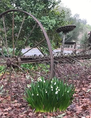 $5,999,998 | 1748 Laguna Road, Santa Rosa, CA 95401