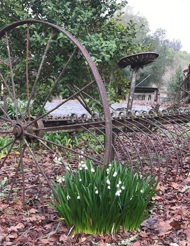 1748 Laguna Road Santa Rosa, CA 95401 - Photo 51 of 81