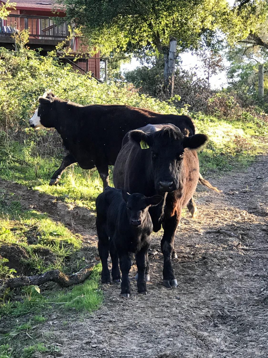 1748 Laguna Road Santa Rosa, CA 95401 - Photo 61 of 81