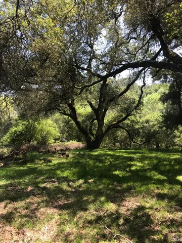 $5,999,998 | 1748 Laguna Road, Santa Rosa, CA 95401