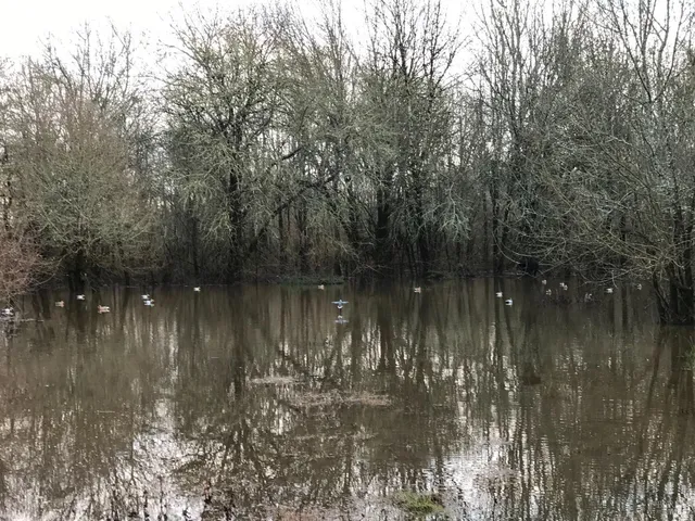 $5,999,998 | 1748 Laguna Road, Santa Rosa, CA 95401