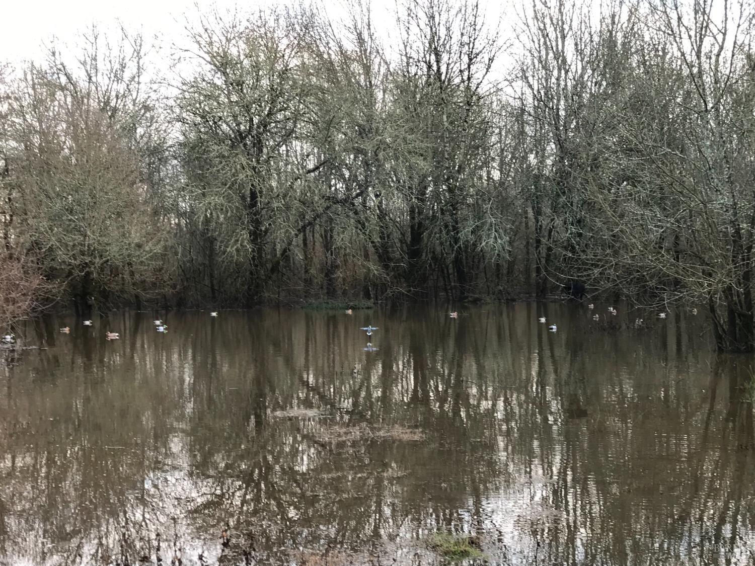 1748 Laguna Road Santa Rosa, CA 95401 - Photo 67 of 81