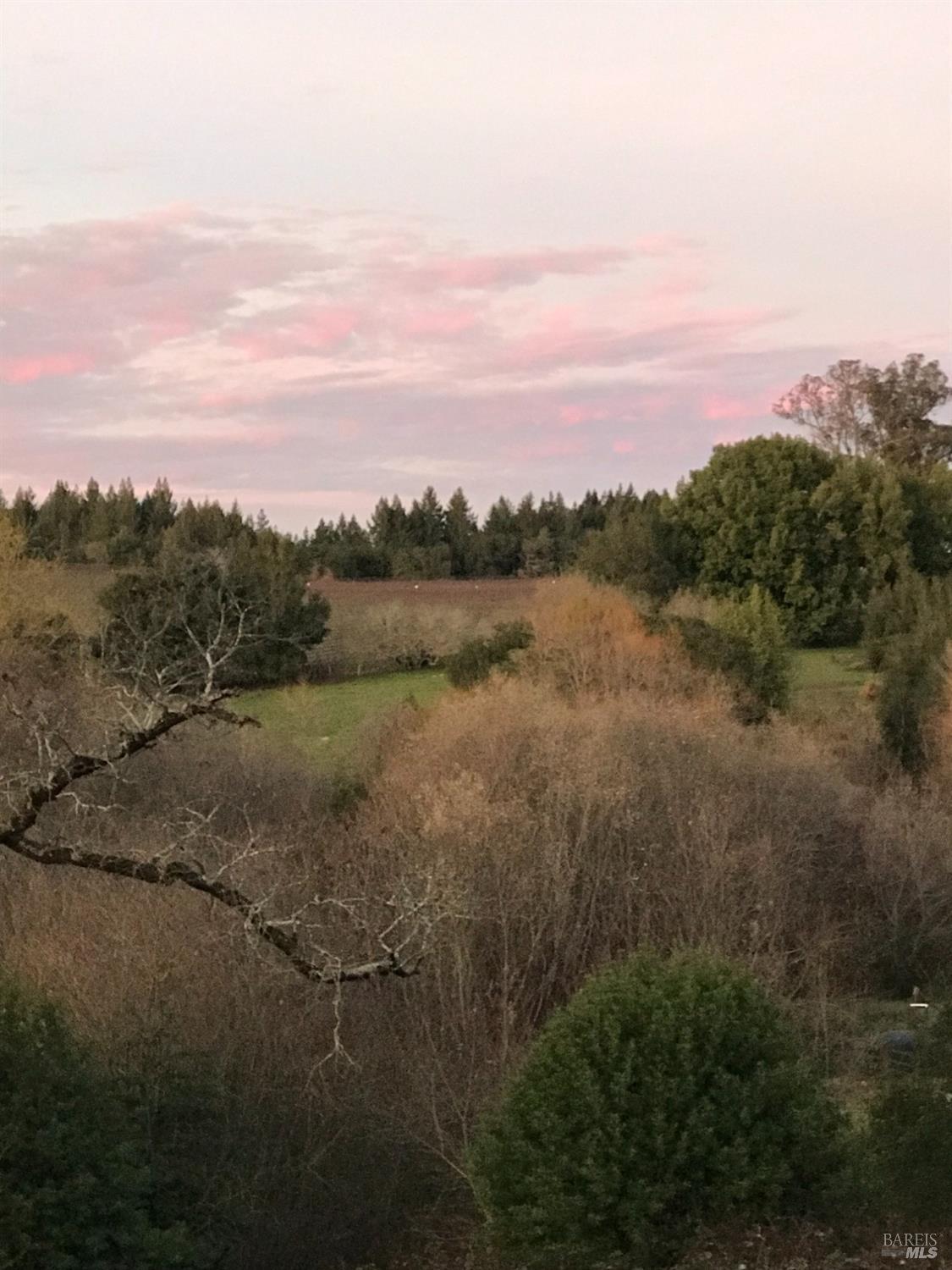 1748 Laguna Road Santa Rosa, CA 95401 - Photo 69 of 81