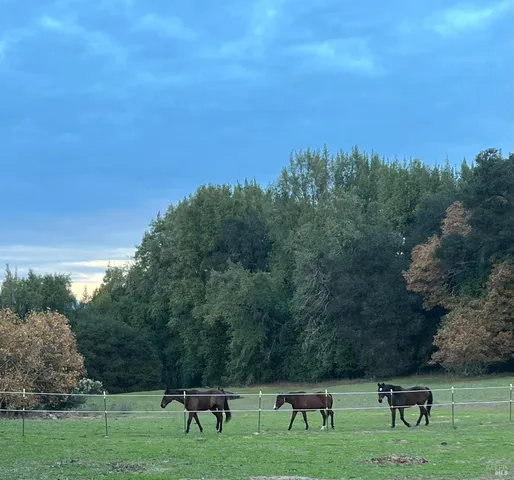 $5,999,998 | 1748 Laguna Road, Santa Rosa, CA 95401