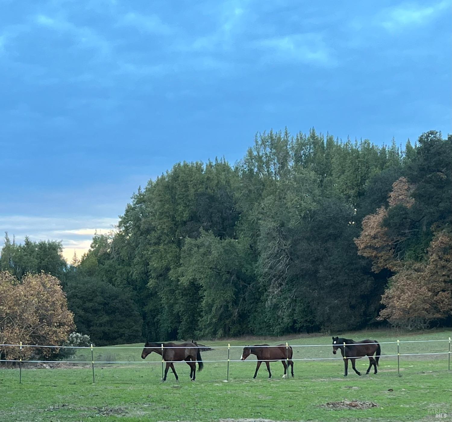 1748 Laguna Road Santa Rosa, CA 95401 - Photo 70 of 81