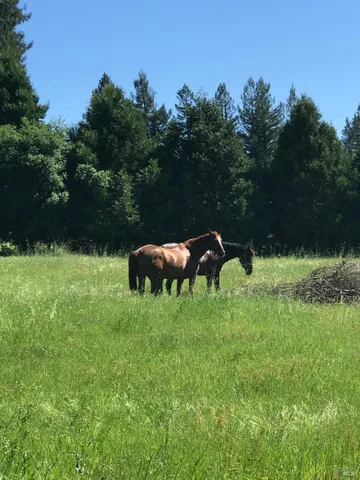 $5,999,998 | 1748 Laguna Road, Santa Rosa, CA 95401