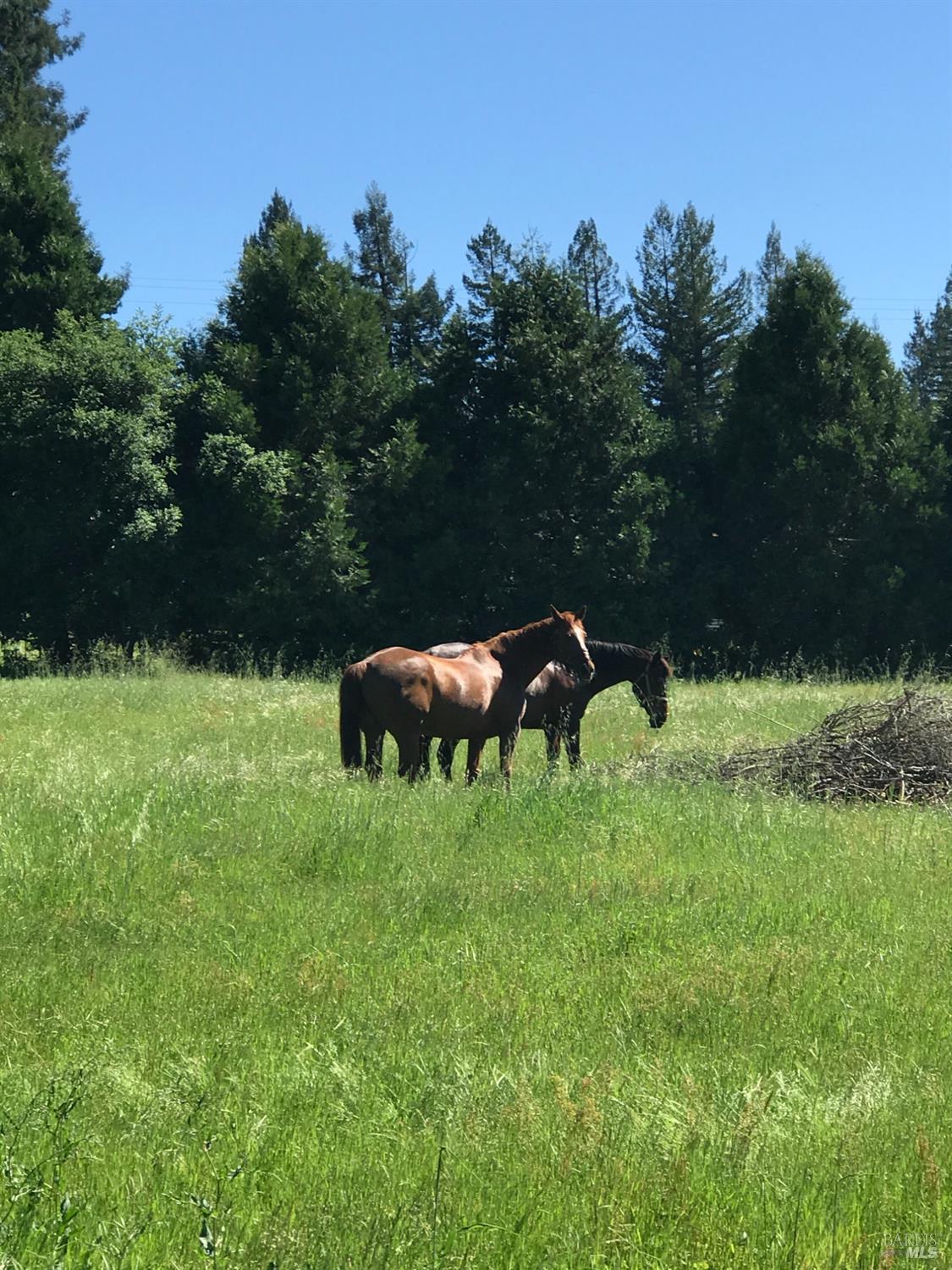 1748 Laguna Road Santa Rosa, CA 95401 - Photo 73 of 81