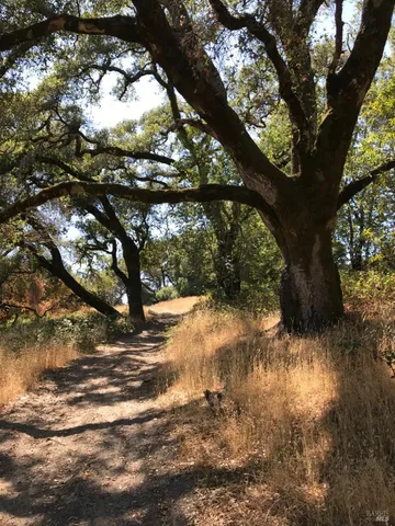 $5,999,998 | 1748 Laguna Road, Santa Rosa, CA 95401
