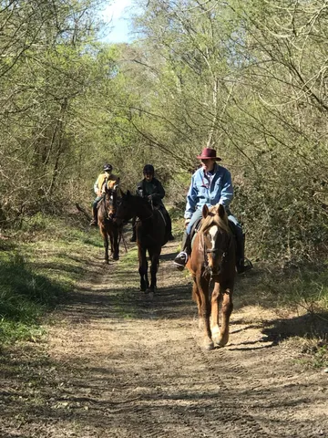 $5,999,998 | 1748 Laguna Road, Santa Rosa, CA 95401