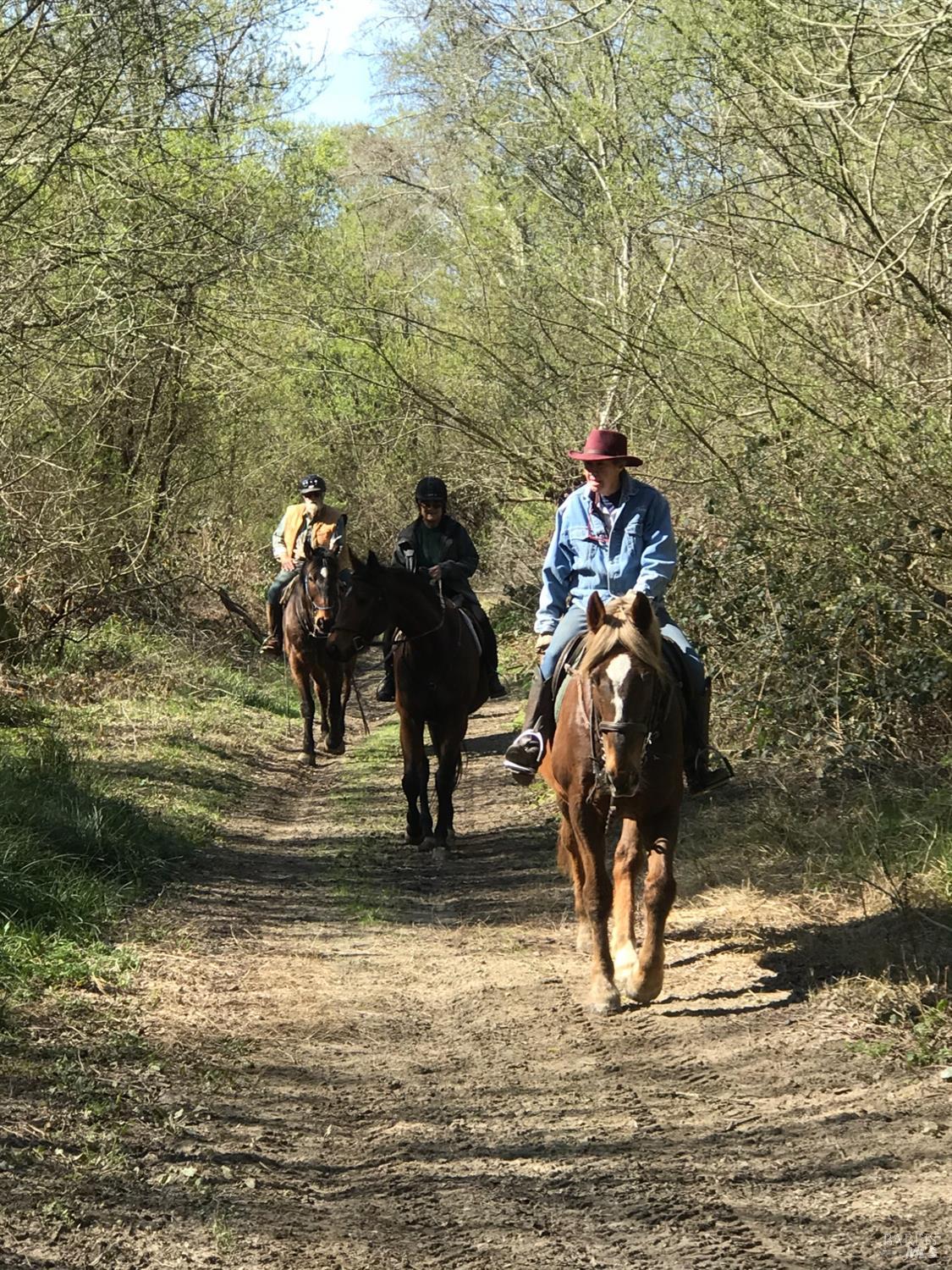 1748 Laguna Road Santa Rosa, CA 95401 - Photo 77 of 81