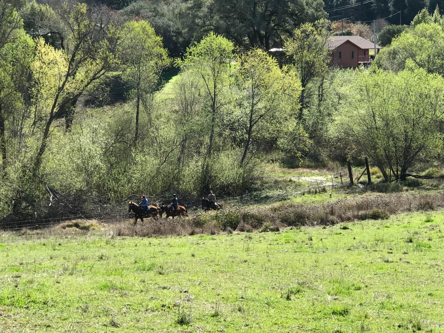 1748 Laguna Road Santa Rosa, CA 95401 - Photo 78 of 81