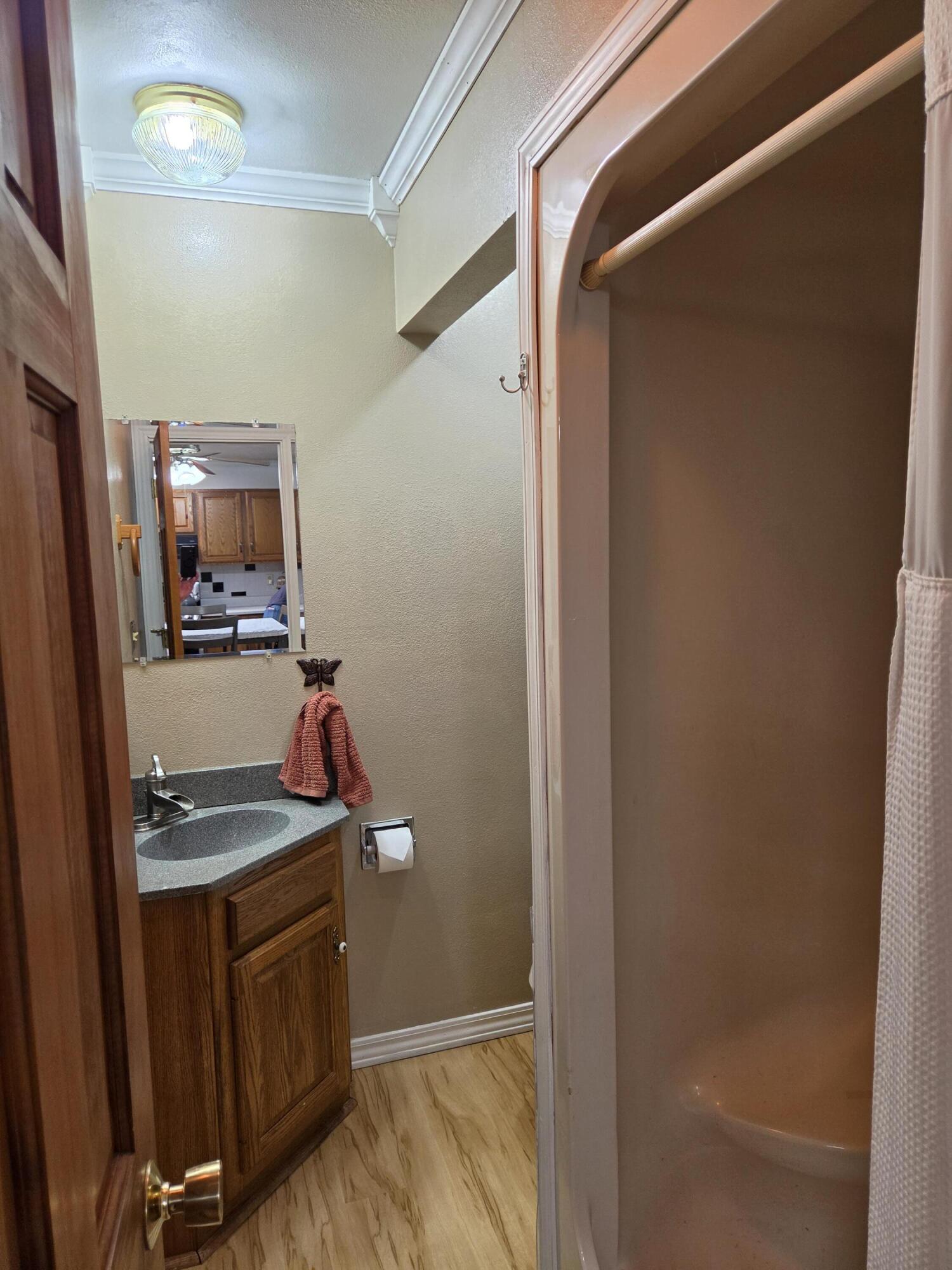 14667 Tripp Road Camden, MI 49232 - Photo 16 of 27 20260702_123108