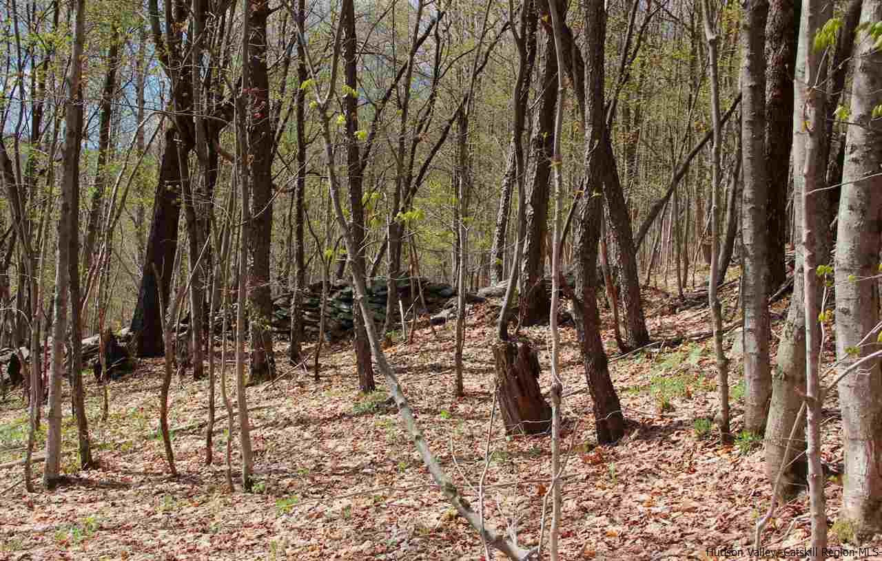 703 Narrow Notch Road Stamford, NY 13788 - Photo 32 of 34 Photo 32