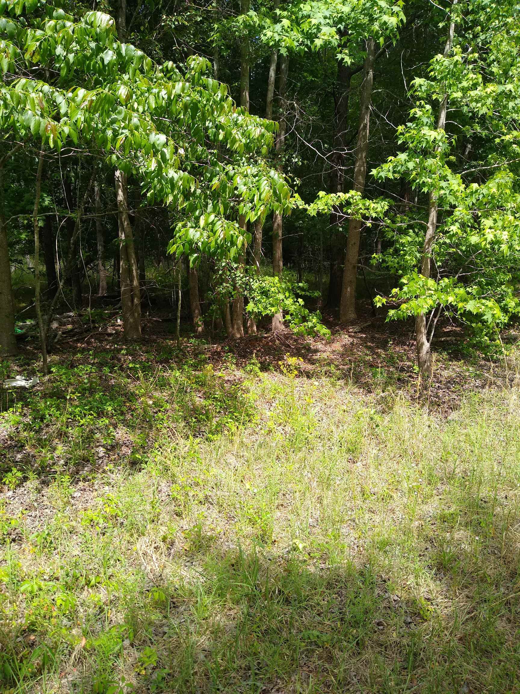 61-a 030 Highway Adrian, GA 31002 - Photo 3 of 6