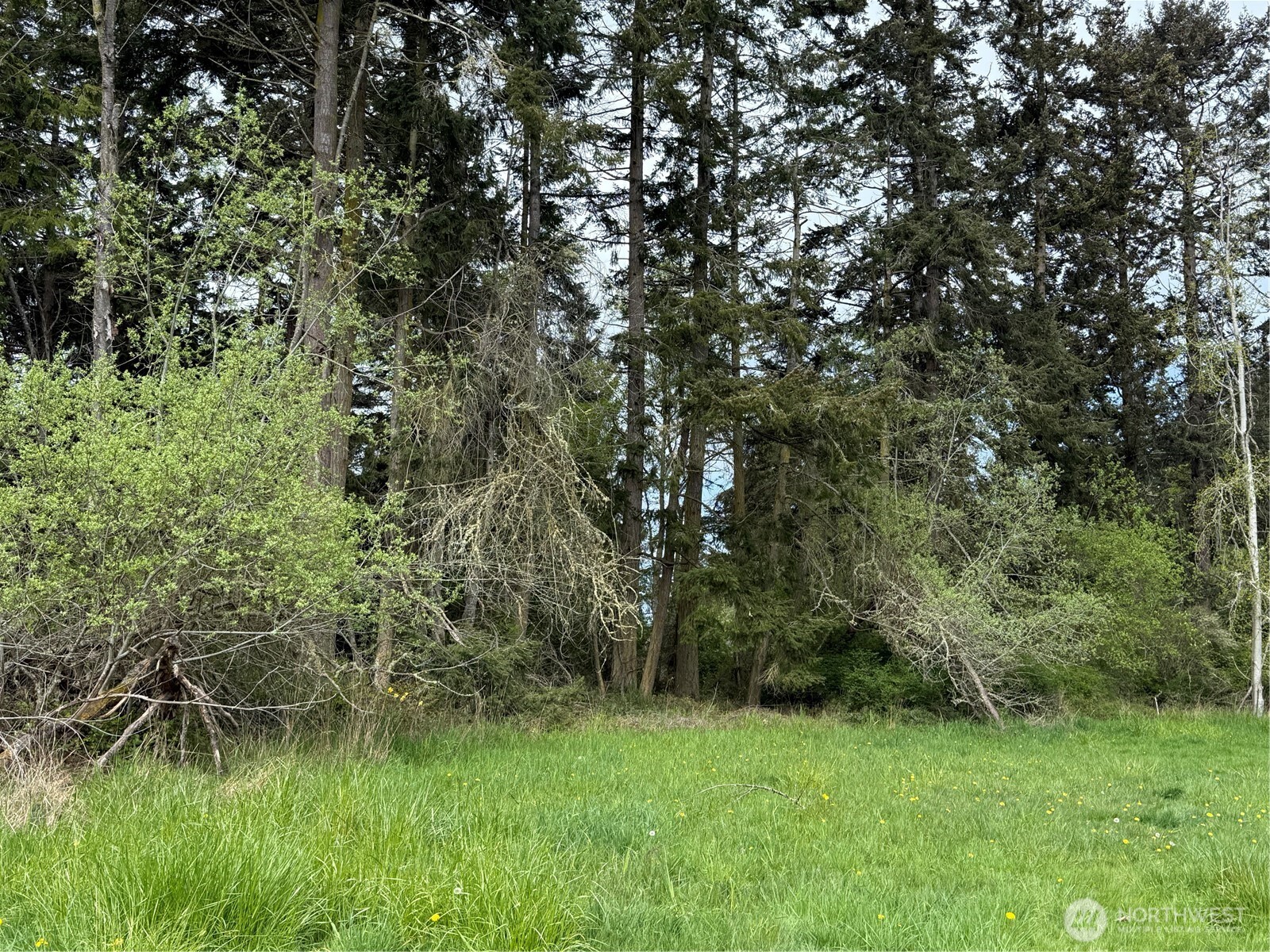 3 Bay View Street Sequim, WA 98382 - Photo 3 of 18 Gallery Image 3