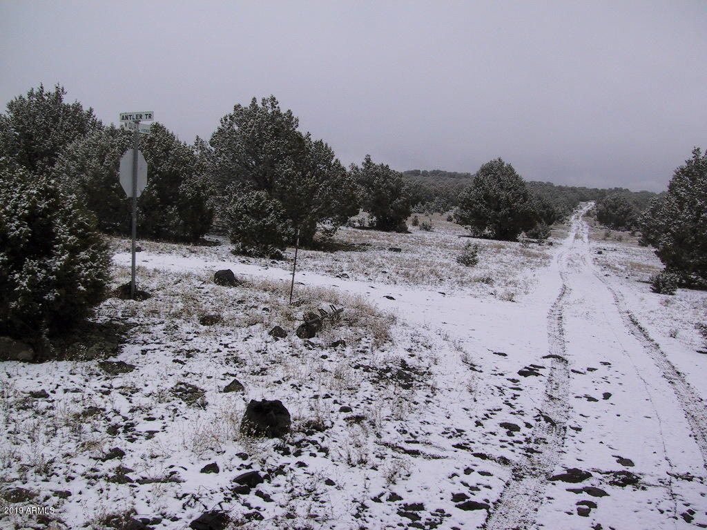 0 North Quail Road, Unit 372 Williams, AZ 86046 - Photo 11 of 18 Access road to the land