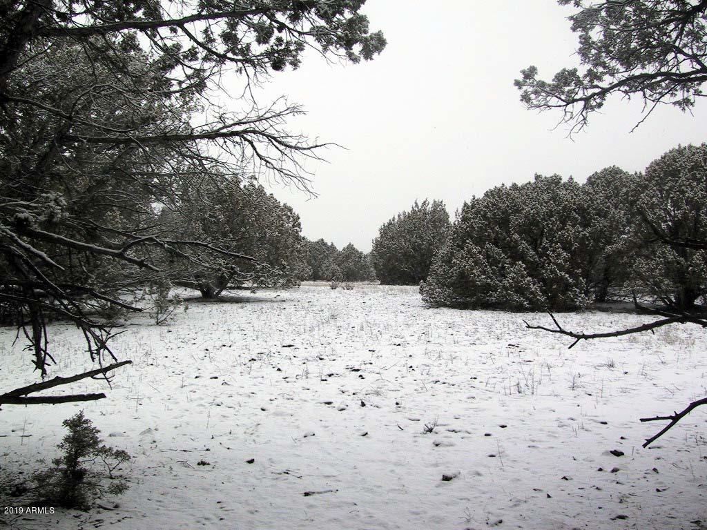 0 North Quail Road, Unit 372 Williams, AZ 86046 - Photo 14 of 18 Open site for Cabin