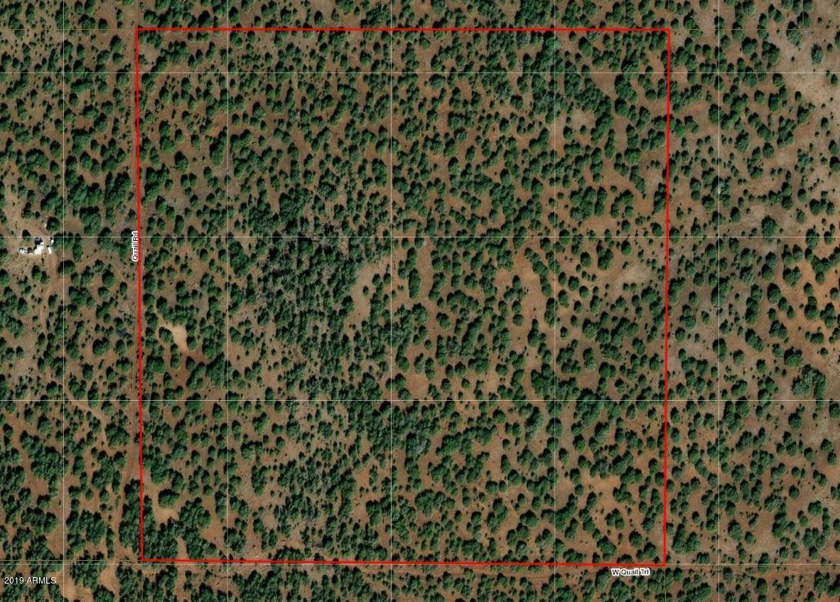 0 North Quail Road, Unit 372 Williams, AZ 86046 - Photo 16 of 18 Satellite View