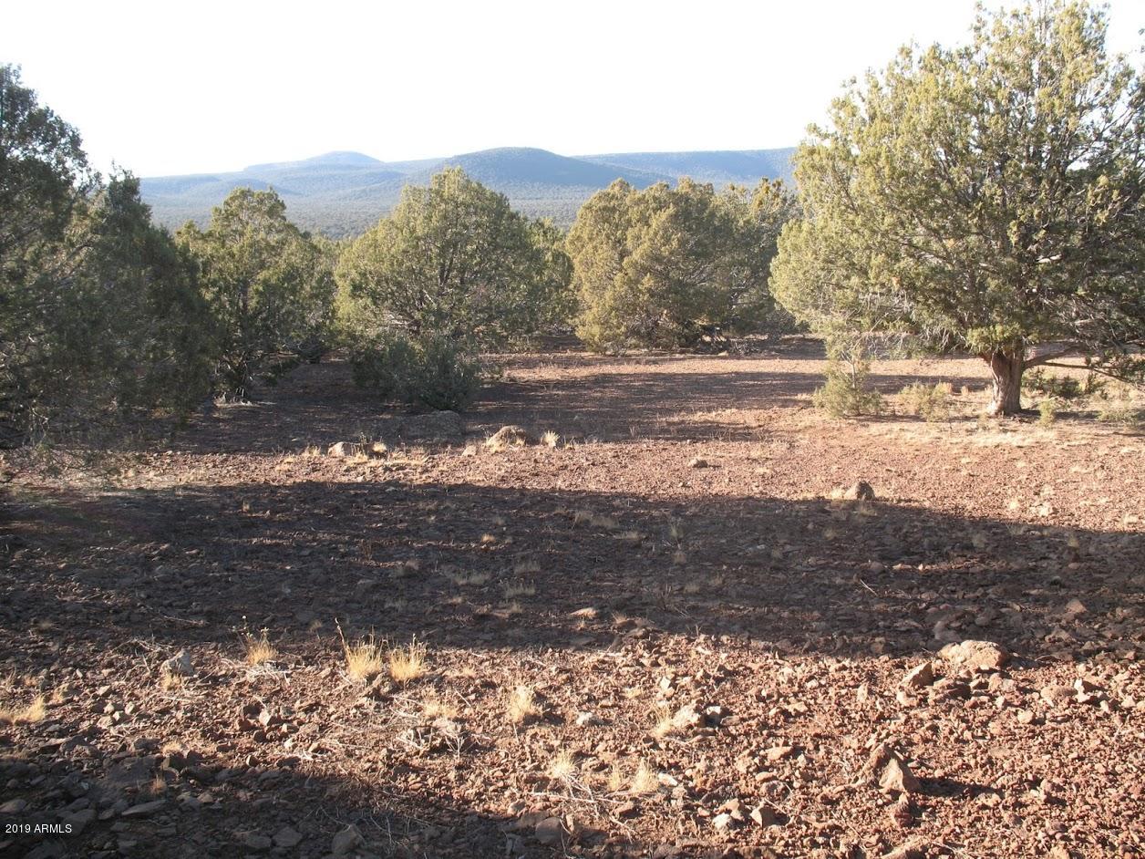 Cabin site with Great Views!