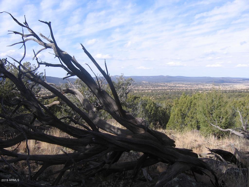 0 North Quail Road, Unit 372 Williams, AZ 86046 - Photo 8 of 18 IMG_3121