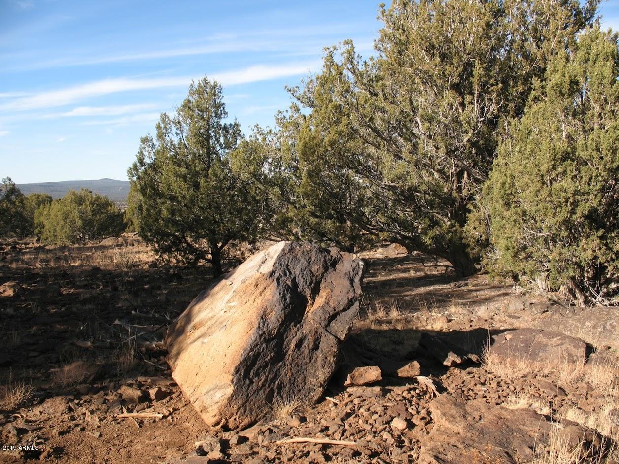 0 North Quail Road, Unit 372 Williams, AZ 86046 - Photo 9 of 18 IMG_5146_1