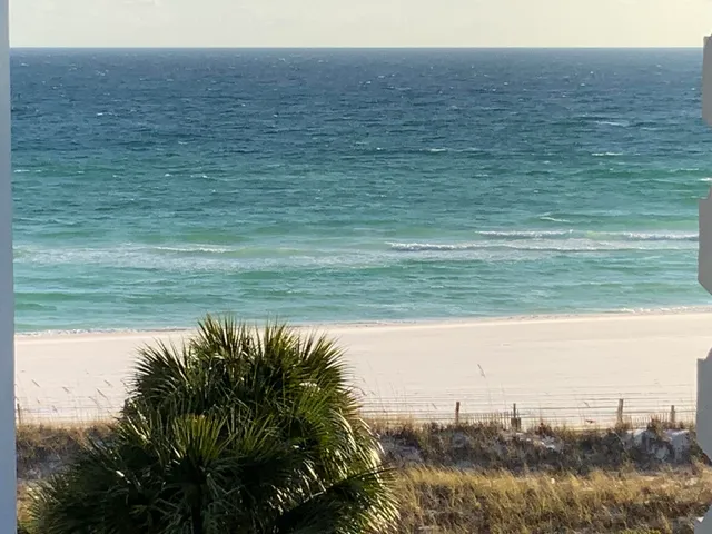 a view of a lake from a yard