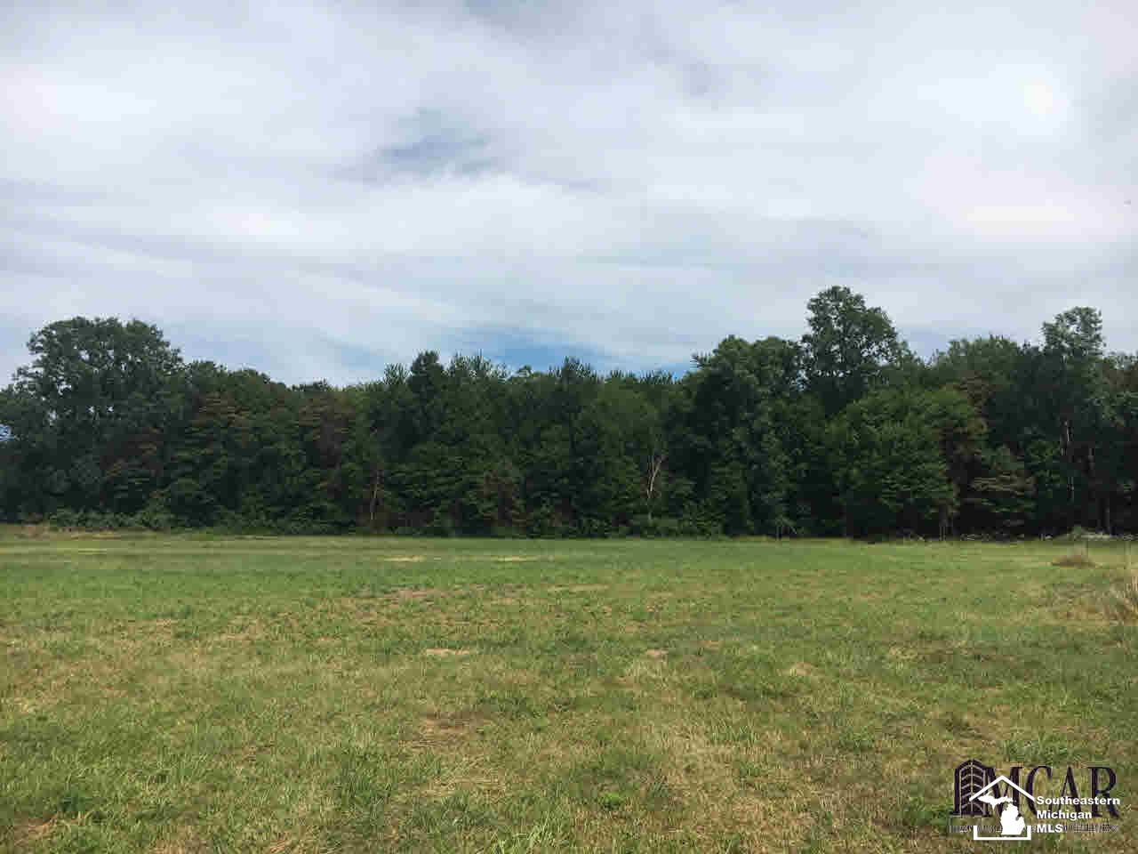 3472 Heiss Road Monroe, MI 48162 - Photo 38 of 38 21346948-37.JPG