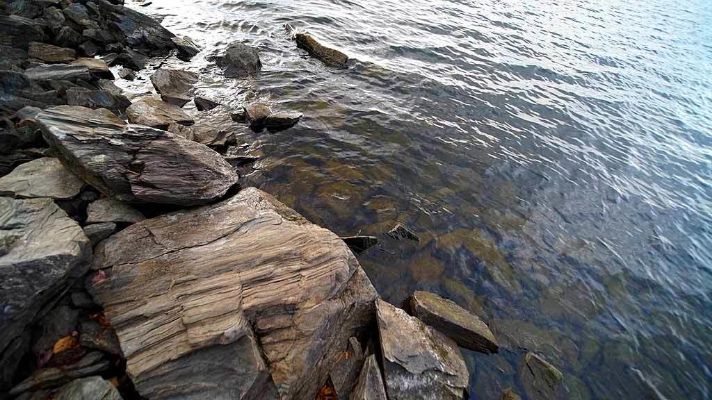 93 South Shore Road Linneus, ME 04730 - Photo 11 of 47 lake-lot-shore-lot-93