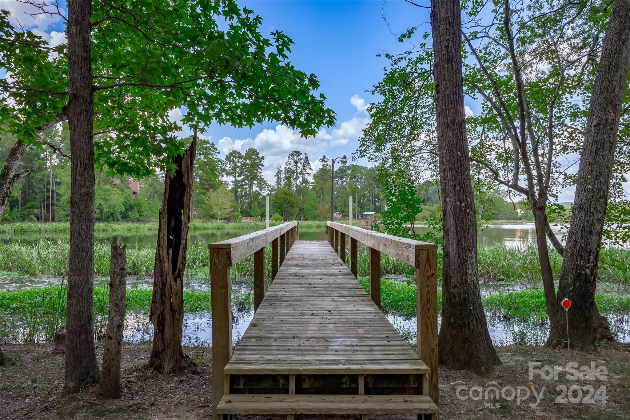 300 Pinehurst Road Winnsboro, SC 29180 - Photo 12 of 48 Gallery Image 12