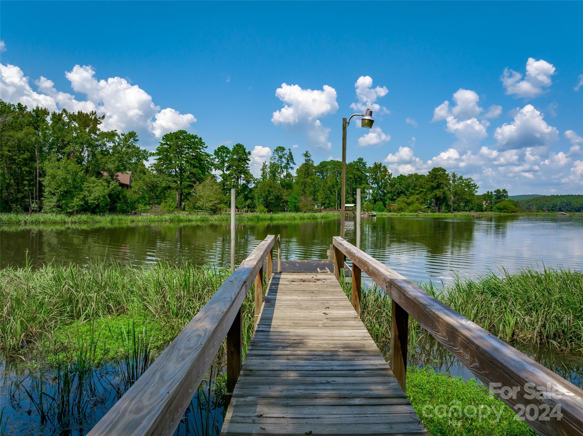 300 Pinehurst Road Winnsboro, SC 29180 - Photo 13 of 48 Gallery Image 13