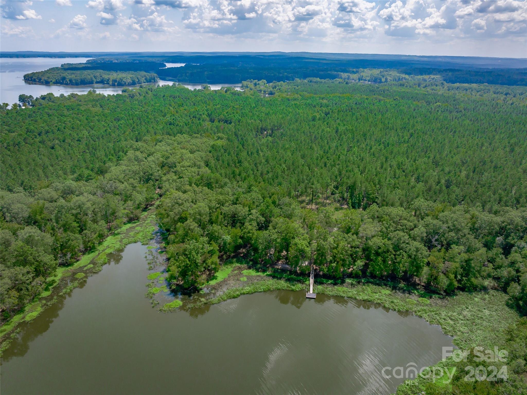 300 Pinehurst Road Winnsboro, SC 29180 - Photo 16 of 48 Gallery Image 16