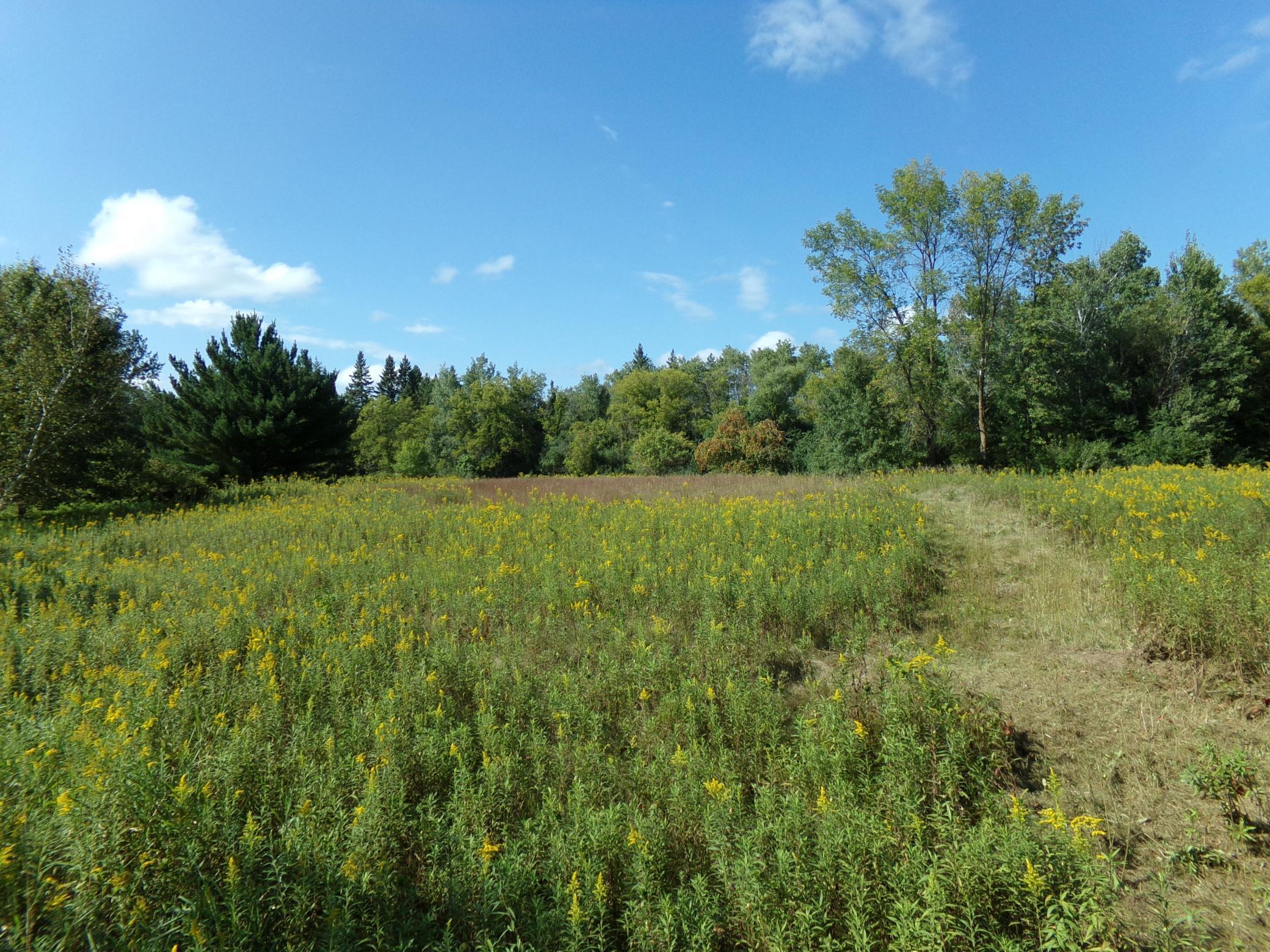67-xx Old Sawmill Road Harris, MN 55032 - Photo 1 of 15