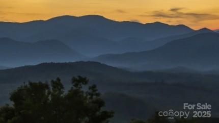 0 The Fls Road Union Mills, NC 28167 - Photo 15 of 27