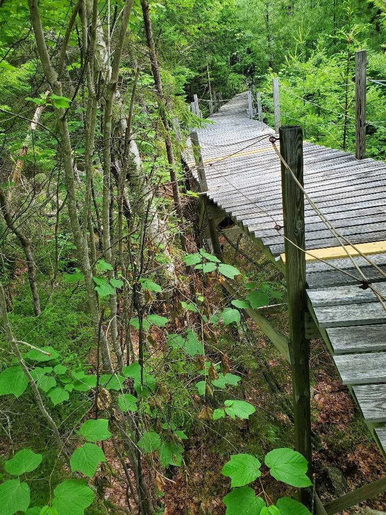 315 Hopkins Pond Road Clifton, ME 04428 - Photo 49 of 50 ramp off the ground