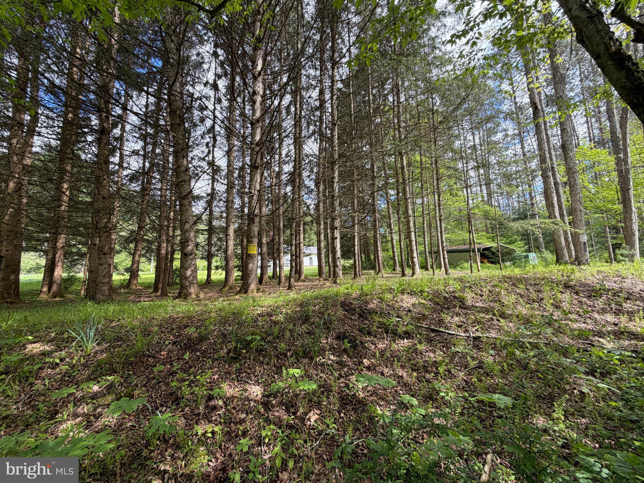 1227 Cross Fork Creek Road Cross Fork, PA 17729 - Photo 91 of 139