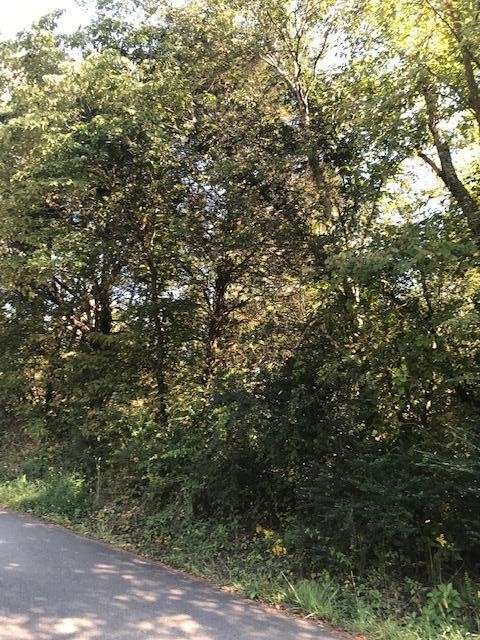 17 Athens Road Delano, TN 37325 - Photo 22 of 23