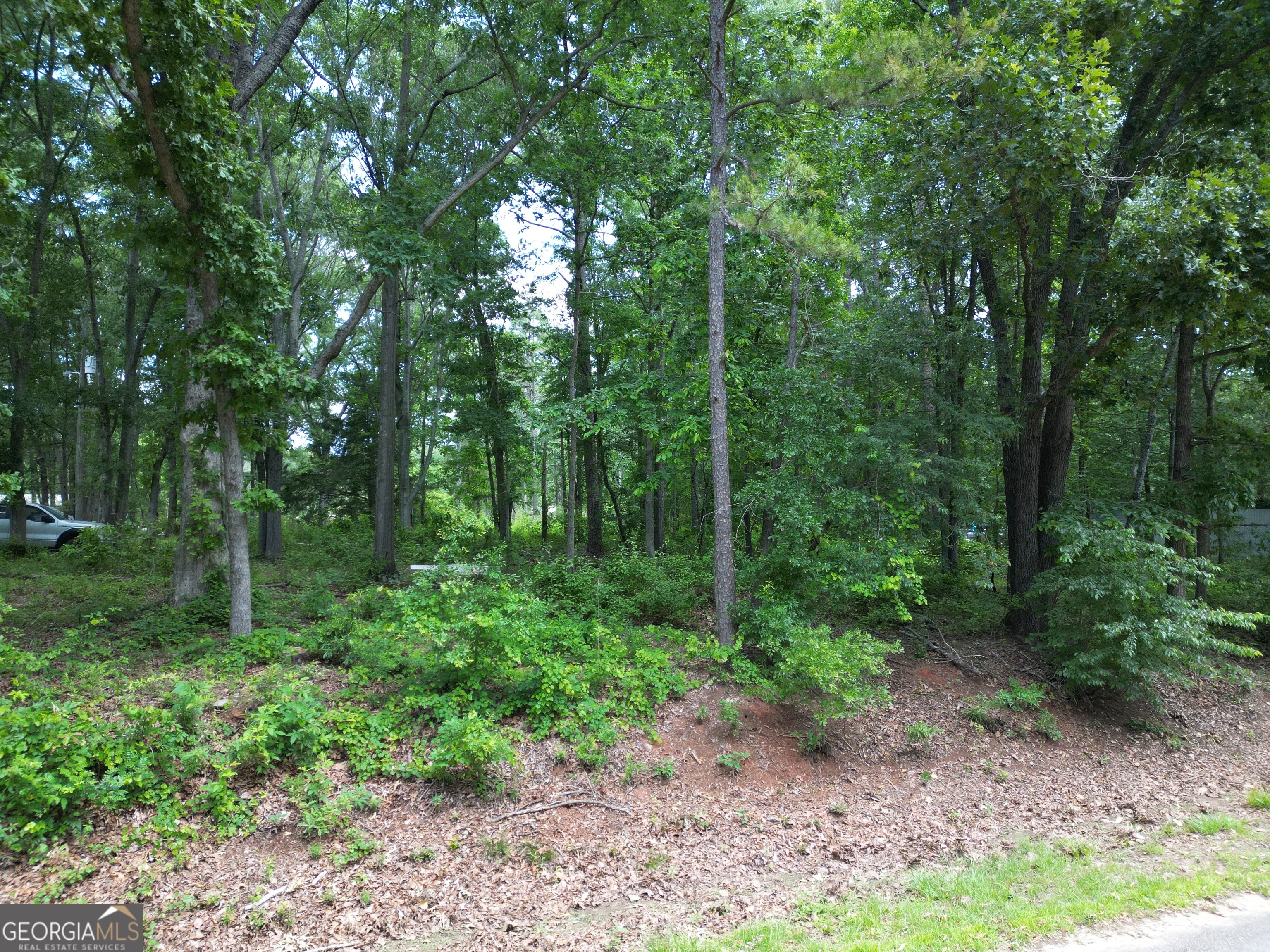 0 Harrison Johnson Road Jefferson, GA 30549 - Photo 12 of 12