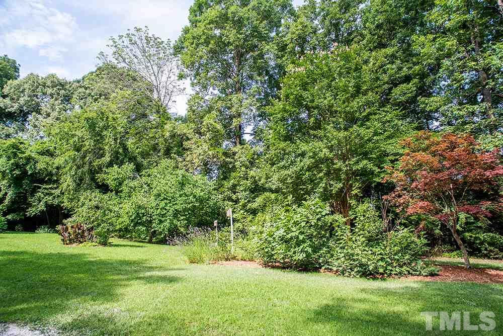 13105 Meadow Ridge Drive Rougemont, NC 27572 - Photo 3 of 21