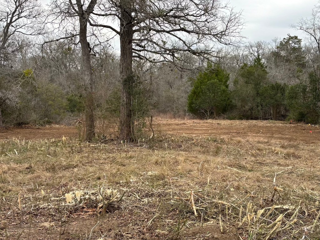 Tbd Tbd Smith Roads Bastrop, TX 78602 - Photo 2 of 4 a view of empty room with trees