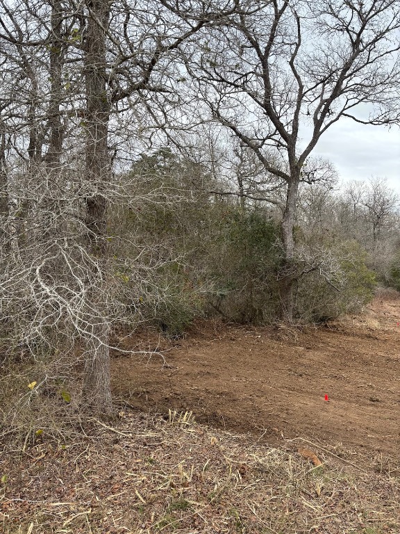 Tbd Tbd Smith Roads Bastrop, TX 78602 - Photo 3 of 4 a view of a yard with a trees