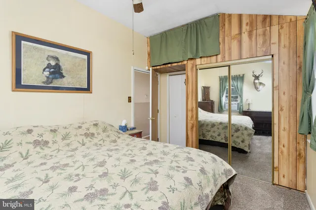 a bedroom with a bed and walk in closet