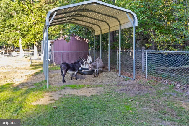 a view of a chair and table in the garden