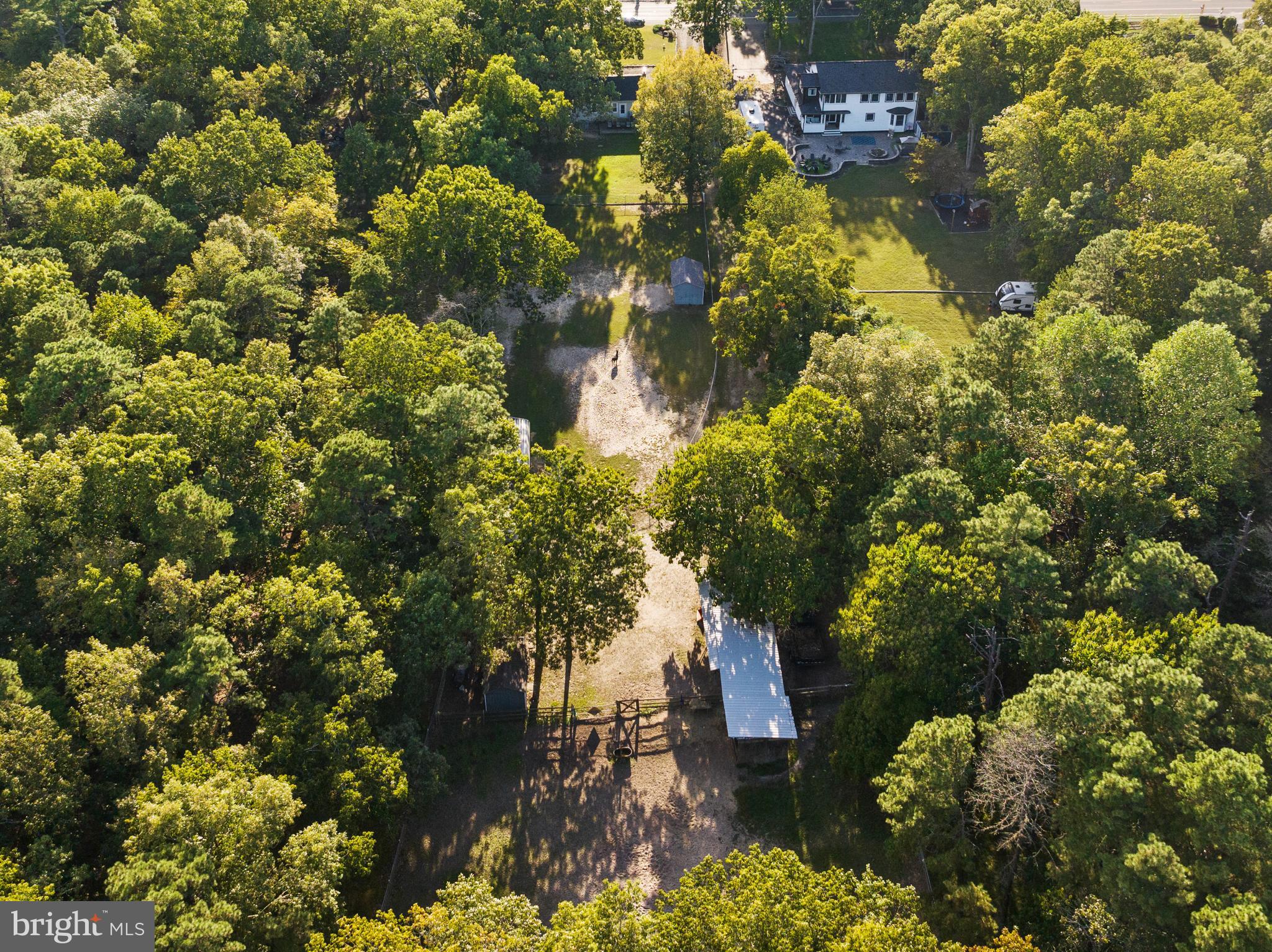 450 Stokes Road Shamong, NJ 08088 - Photo 35 of 35 a picture of tree
